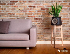 氣溫下不來,人都曬蔫了,用好花器種花草可能感覺會涼快點