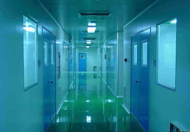 無(wú)塵車間 hgr wcs